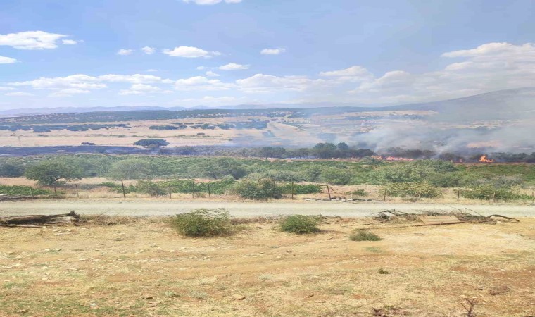 Kulpta üzüm bağları ve meyve ağaçları yangında zarar gördü