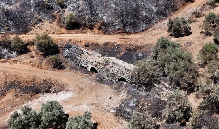 Kuşadasındaki orman yangınında antik su kemeri zarar gördü