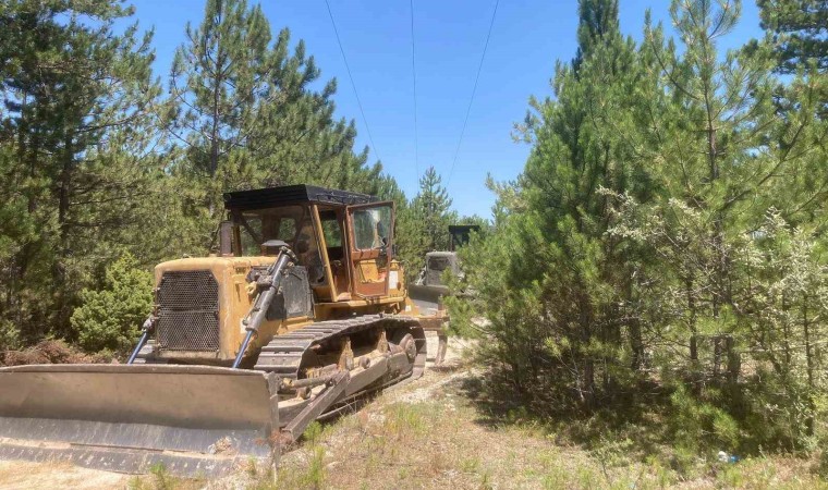 Kütahyada ormanlardaki enerji nakil hatlarının altları temizleniyor