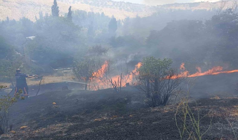 Malatyada bahçelik alanda korkutan yangın