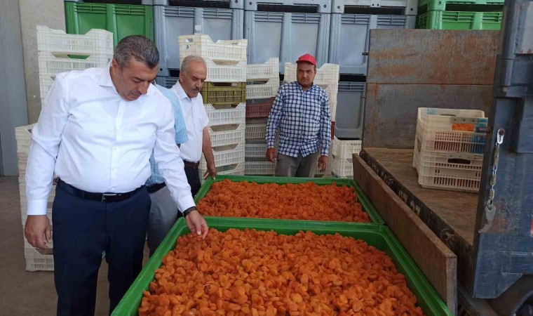 Malatyada lisanslı depolar 2 haftada yaklaşık bin 500 ton ürün alımı yaptı