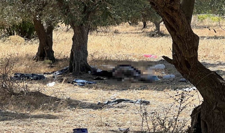 Manisada 15 yıldır zeytinlikte yaşayan şahıs ölü bulundu