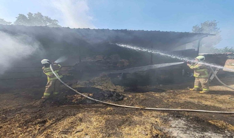 Manyasta ahırda çıkan yangında 3 büyükbaş hayvanda yanıklar oluştu