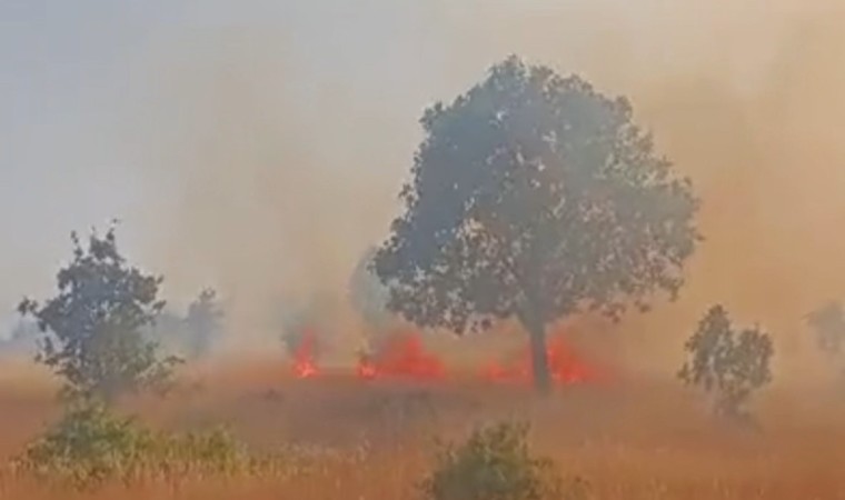 Mardinde 5 ayrı noktada çıkan yangın devam ediyor