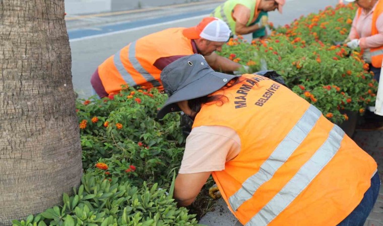 Marmariste orta refüjlerde bakım çalışması başladı