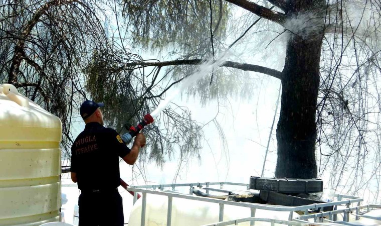 Menteşede yangın, ekiplerin zamanında müdahalesi ile söndürüldü