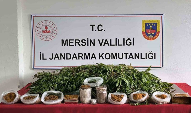 Mersinde uyuşturucu operasyonu: 1 gözaltı