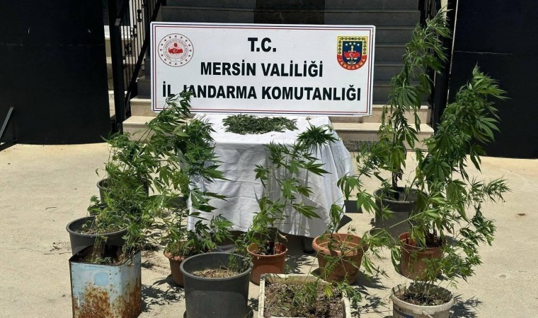 Mersinde uyuşturucu operasyonu: 2 kişi yakalandı