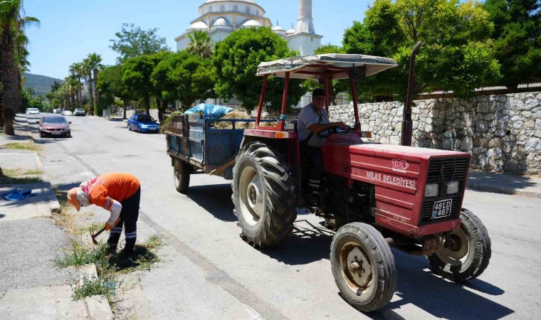 Milas Belediyesi ekipleri temizlik çalışmalarına devam ediyor