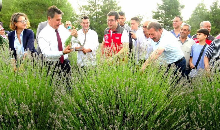 Muğla Büyükşehir Belediyesinden lavanta şenliği