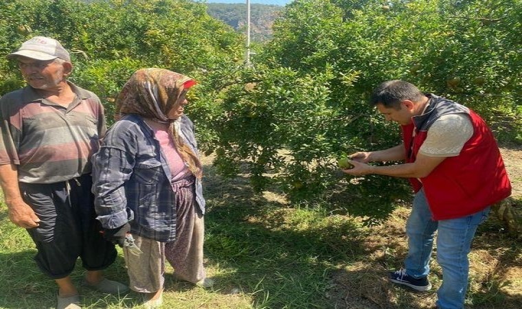 Muğlada zararlı kontrolü