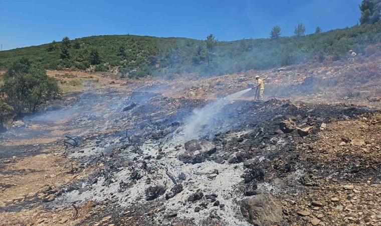 Muğladaki arazi yangını kontrol altına alındı