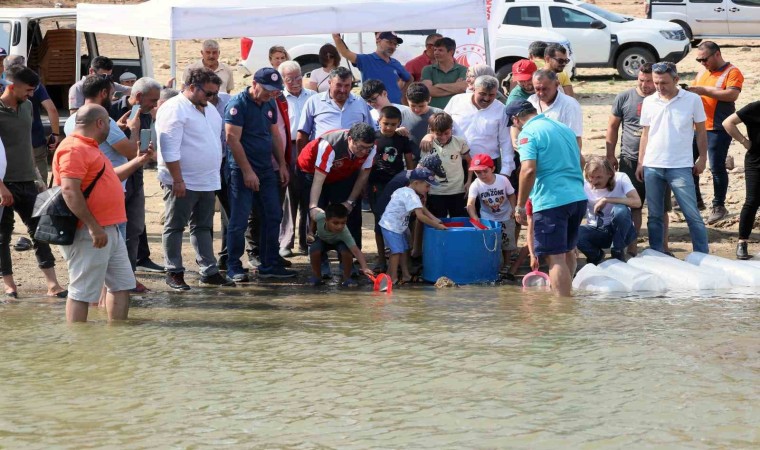 Muğladaki baraj ve göletlere 370 bin sazan yavrusu bırakıldı