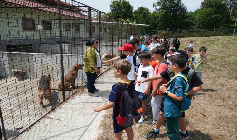 Öğrencilerden can dostlara ziyaret