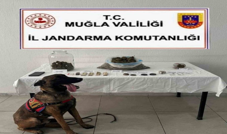 Ortacada uyuşturucu operasyonu: 1 tutuklama