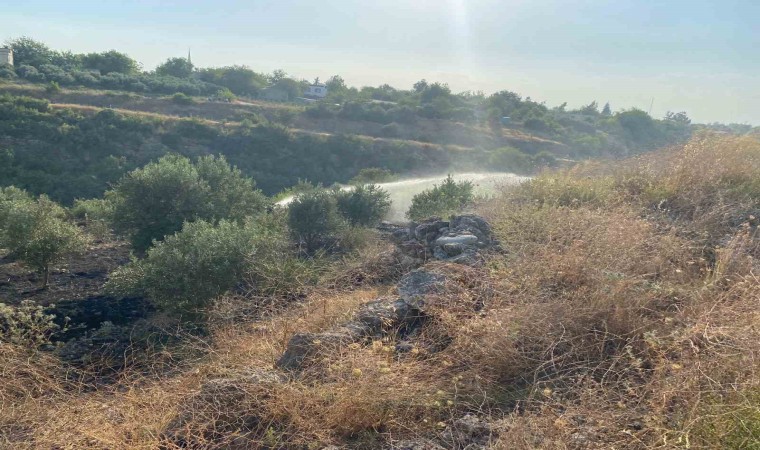 Osmaniyede çıkan anız yangını zeytin bahçesine sıçradı