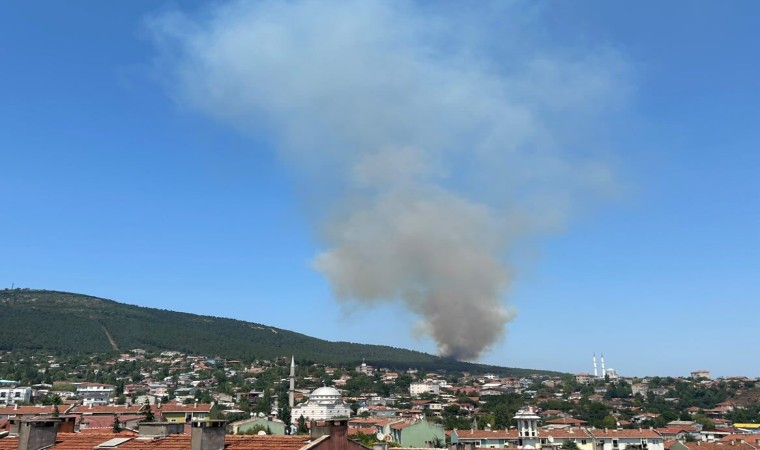 Pendik Aydos Ormanında yangın çıktı. Olay yerine çok sayıda itfaiye ekibi sevk edildi.