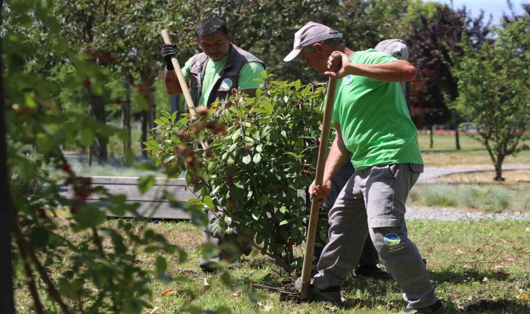 Sakarya Büyükşehir Belediyesinden şehre estetik dokunuş