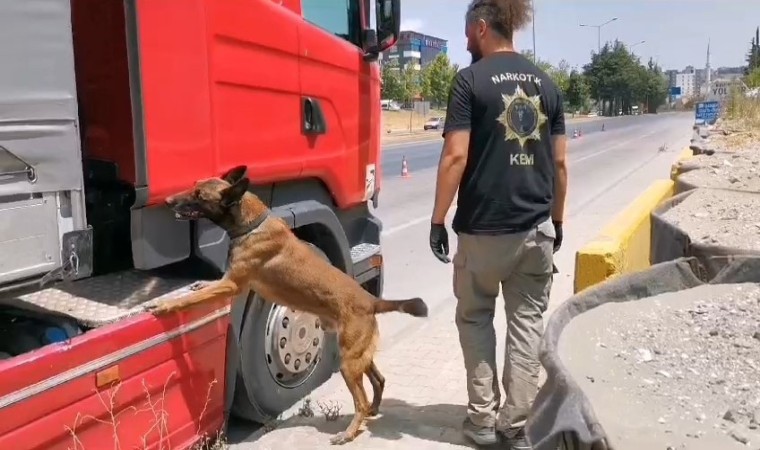 Samsunda narkotik dedektör köpeği tırda çeşit çeşit uyuşturucu buldu