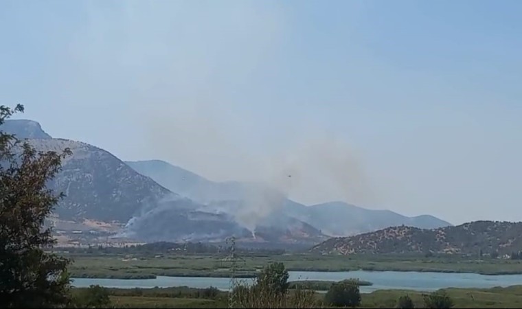 Selçuktaki orman yangınına havadan ve karadan müdahale