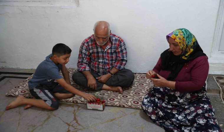 Seranın ürünleri yaşlılara dağıtıldı