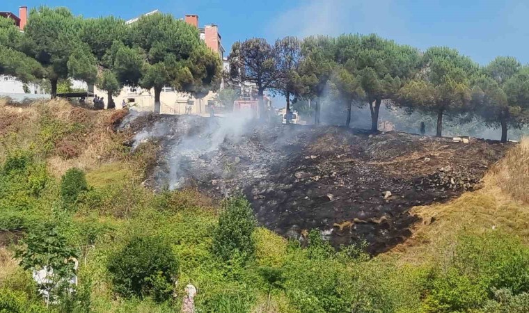 Sinopta ot yangını: Çam ağaçları zarar gördü