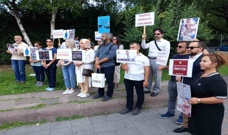 Sivil toplum kuruşlarından sahipsiz sokak hayvanları ile ilgili hazırlanan yasa tasarısına destek