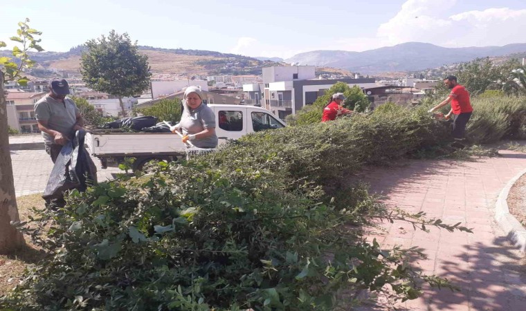 Söke Belediyesinden Park ve Bahçelerde yoğun çalışma