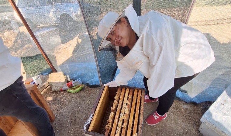 Sökede Arıcılık Kursunda bal sağımı eğitim verildi