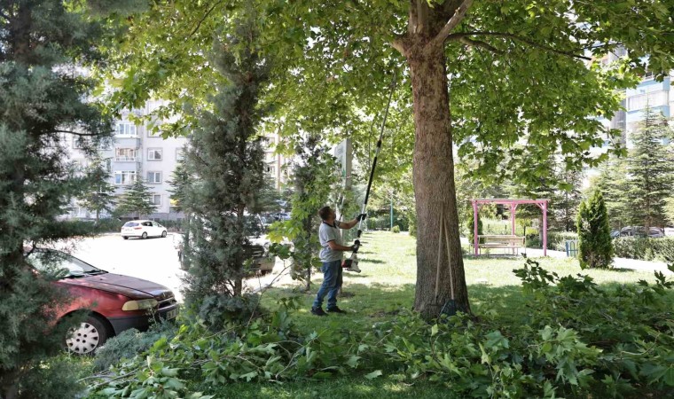 Talasta park ve bahçelere yaz bakımı