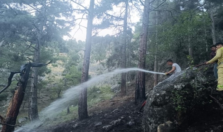 Tarsusta orman yangını kısa sürede söndürüldü