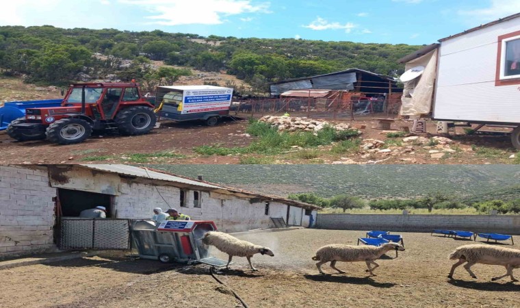 Tavas Belediyesi 21 bin 735 küçükbaş hayvana parazit bakımı yaptı