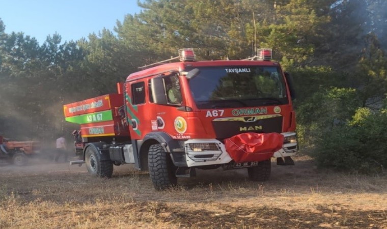 Tavşanlı ilçesinde orman yangını