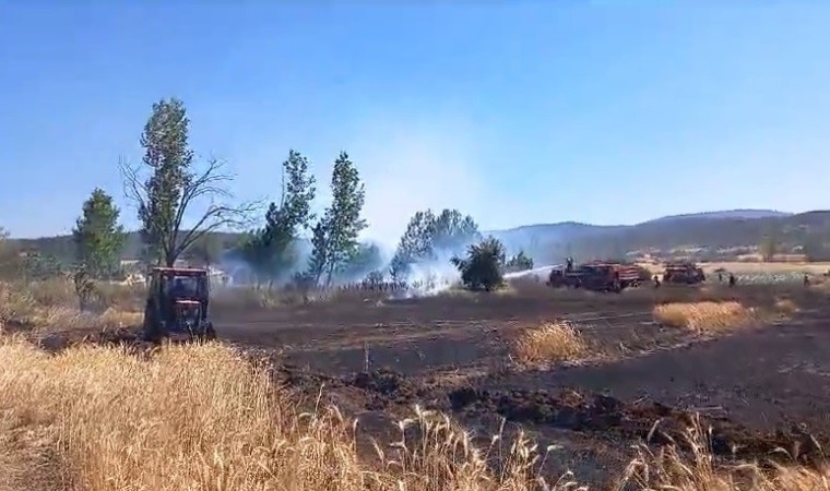 Tavşanlıda buğday ekili alanda çıkan yangın kısa sürede söndürüldü