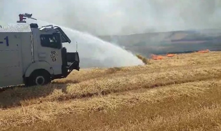 Tekirdağda anız ve orman yangınlarına çevik kuvvet desteği