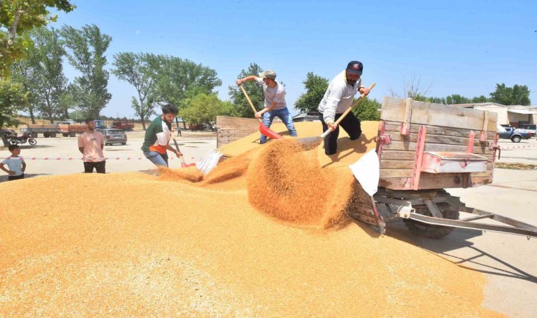 TMO, Yenişehirden 3 bin 500 ton hububat aldı