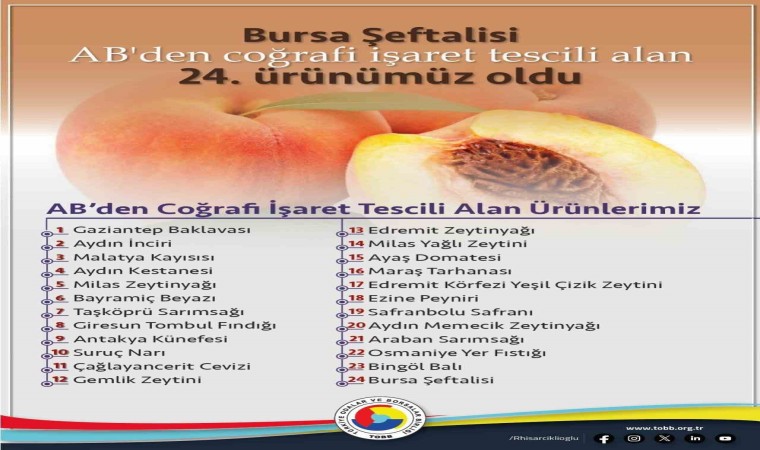 TOBB Başkanı Hisarcıklıoğlu: Avrupa Birliğinden coğrafi işaret tescili alan 24. ürünümüz Bursa şeftalisi oldu