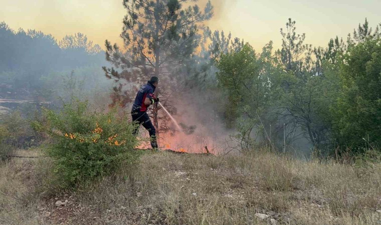 Tokatta korkutan orman yangını