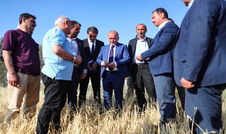 Tokatta şiddetli yağışlar tarım arazilerini vurdu