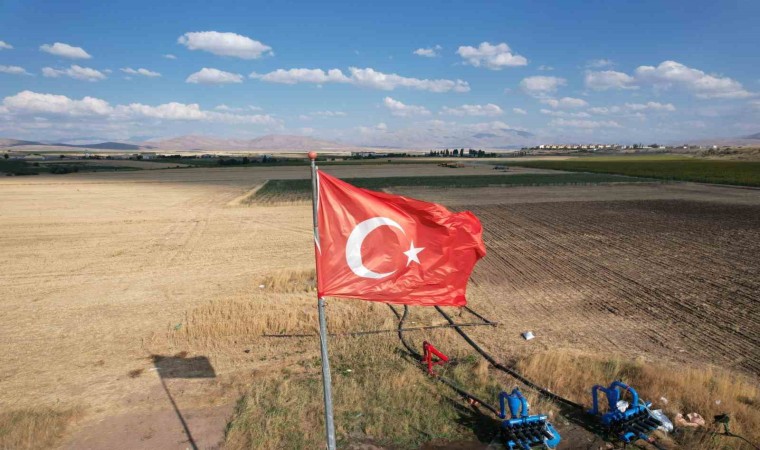 Tomarzada ekmeklik buğday hasadı tüm hızıyla sürüyor