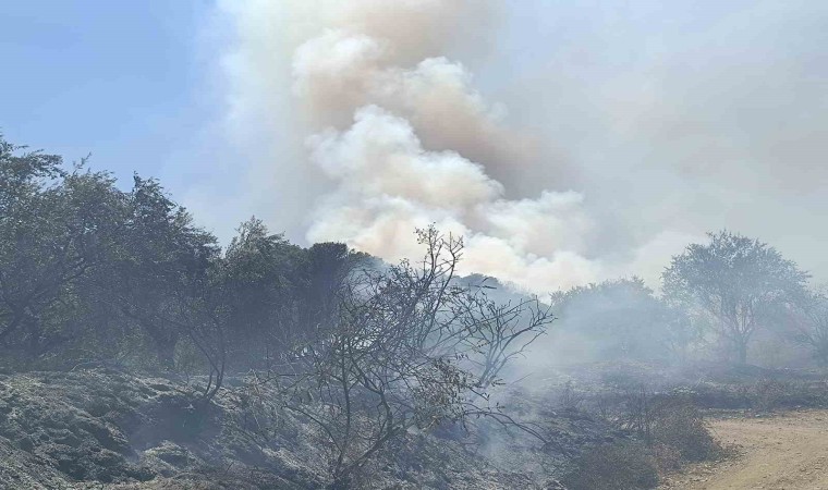 Turgutluda orman yangını evlere sıçradı