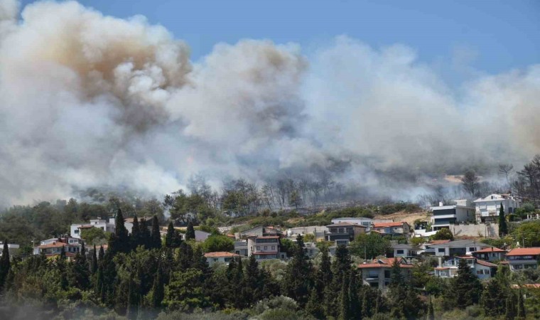 Urla ve Çeşmede orman yangını