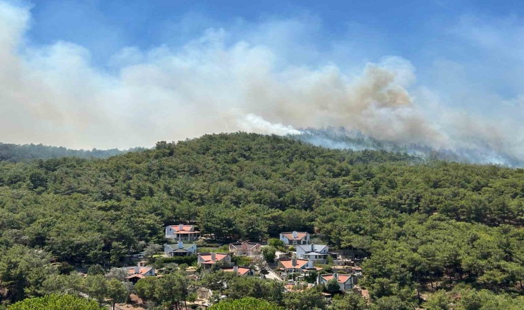 Urladaki orman yangınında 120 konut tahliye edildi