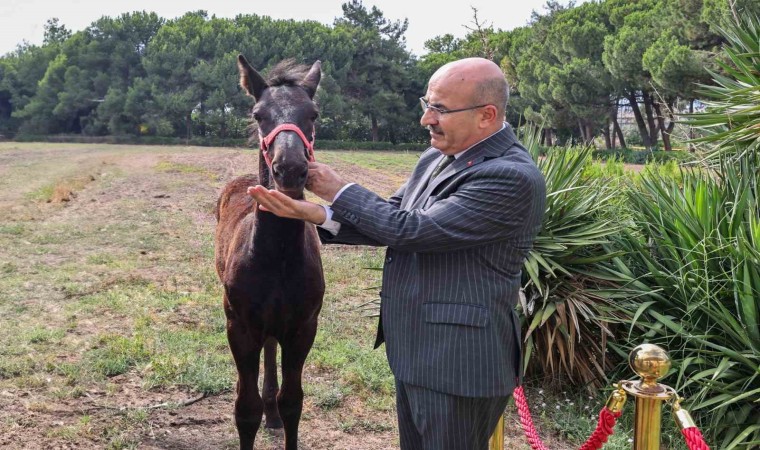 Vali Demirtaştan Askeri Veteriner Okuluna ziyaret