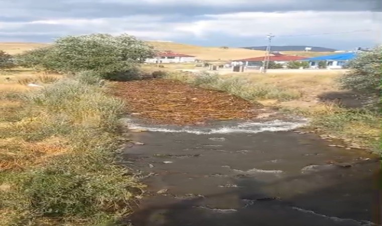 Vartoda dereler taştı, tarım arazileri sular altında kaldı