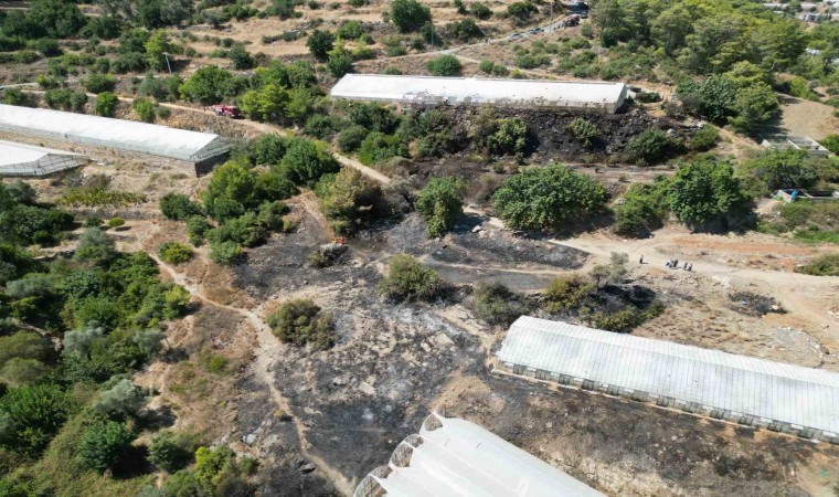 Yerleşim yerine yakın noktada çıkan ve ormana sıçrayan yangın söndürüldü