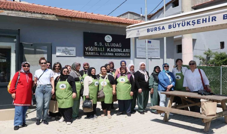 Yukarı Sakarya Havzasında Arazi Tahribatını Dengeleme Projesi devam ediyor