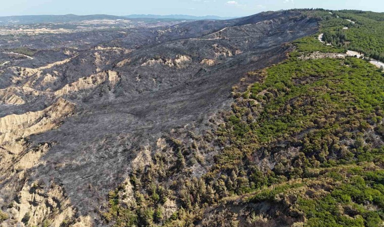 700 hektarlık alanın etkilendiği Tarihi Alandaki yangın sonrası bölgede soğutma çalışmaları devam ediyor