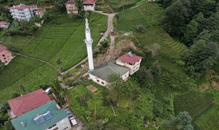 800 yıllık camiyi kurtarmak için çevresindeki ağaçları kestiler