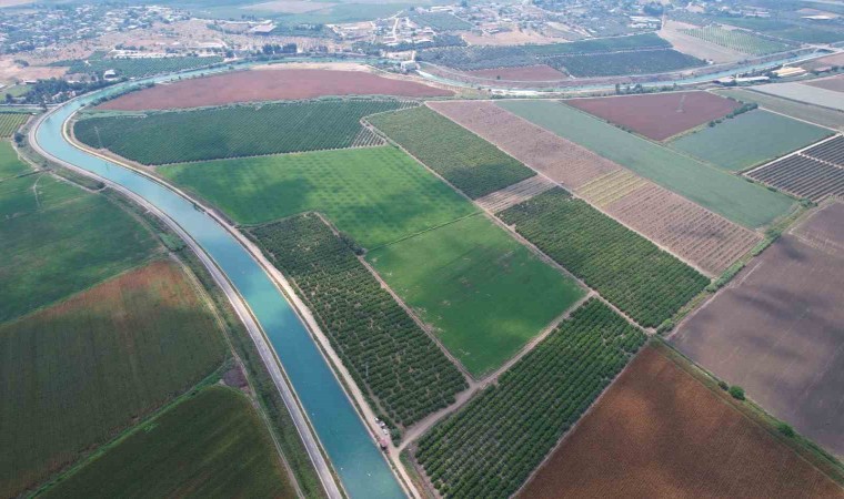 Adana çiftçisine su yok, ekim yapmayın uyarısı